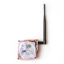 Load image into Gallery viewer, Paradar: a handheld ADS-B receiver, traffic, altimeter and navigation